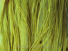Load image into Gallery viewer, Yellow Organza Ribbon