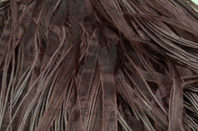 Load image into Gallery viewer, Brown Organza Ribbon