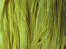 Load image into Gallery viewer, Yellow Organza Ribbon
